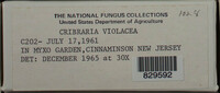 Image Associated With the Occurence